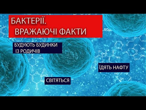 Бактерії. 6 Вражаючих Фактів