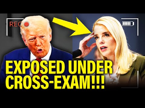 GOP Witnesses get EXPOSED under CROSS-EXAM at Hearing