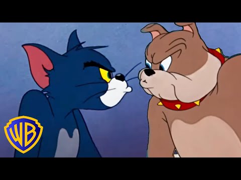 Tom & Jerry | Cats V.S. Dogs 🐱🐶 | Animal Takeover | @wbkids