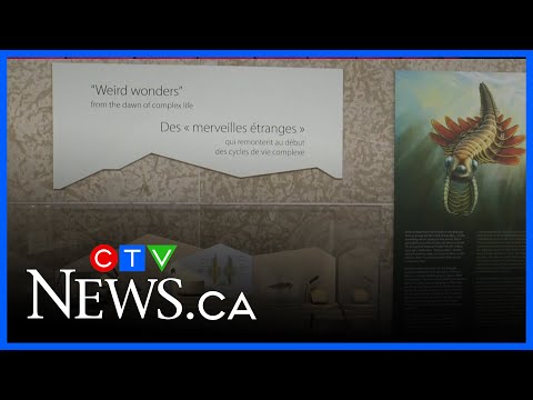 New exhibit at Manitoba Museum