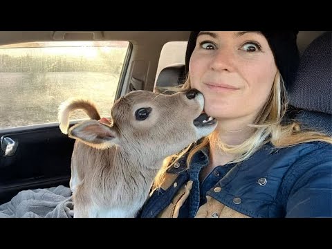 The Funniest Moments Ever Between a Comedian Animal and Human! 🤪