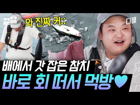 [#바닷길선발대] 비장한 눈빛으로 참치 손질하는 고규필😮 한눈에 봐도 두툼한 살코기