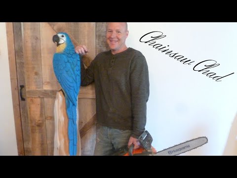 Chainsaw Carving A Parrot- Wood Sculpture!!