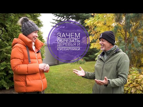 ЗАЧЕМ ОБРЕЗАТЬ РАСТЕНИЯ? Беседы с Андреем Дарусенковым