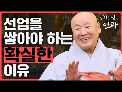 계속해서 선업을 쌓으라 하는 확실한 이유[묘허스님의 인과 27회]