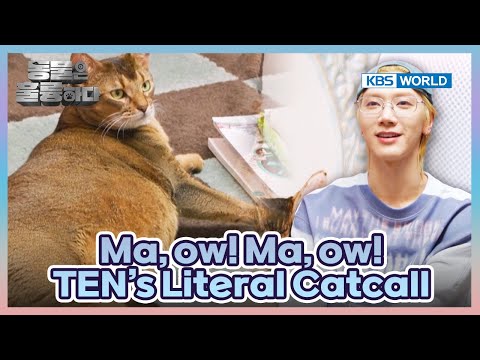 Welcome to TEN's House😮 [Animals Are Incredible : EP.16-1] | KBS WORLD TV 250416