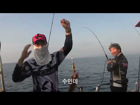 사이즈 좋은대구로 만쿨  미터오버 대구  임원항 해병호