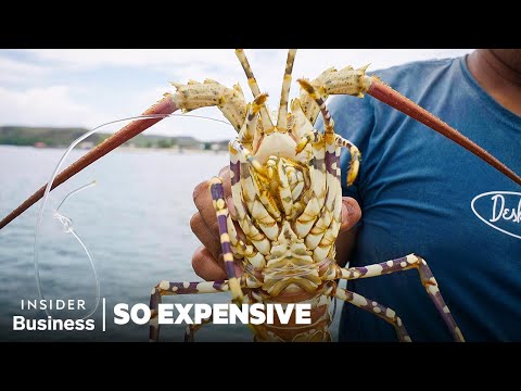 Why 6 Of The World's Priciest Seafoods Are So Expensive | So Expensive | Business Insider