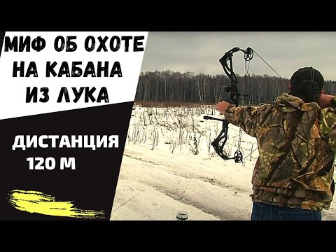 Миф об охоте на кабана из лука на 120 метров