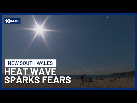 Extreme Heat Sparks Fire Fears & Increased Triple Zero Calls Across NSW | 10 News