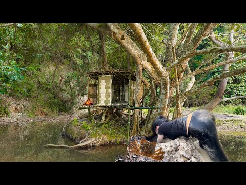Building a Survival Shelter Under a Giant Tree, Catch and Cook, Bushcraft Survival, Tree House