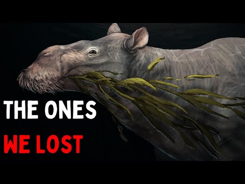 Evolution's Only Failed Marine Mammal