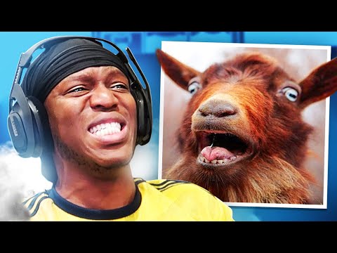 TRY NOT TO LAUGH ABOUT GOATS