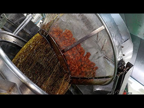 amazing food factory in korea!