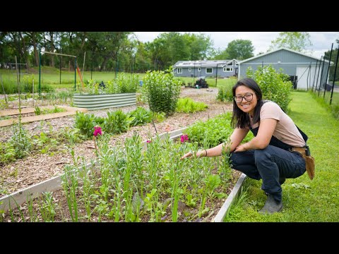 7 things I regret from my first 4 years of flower farming