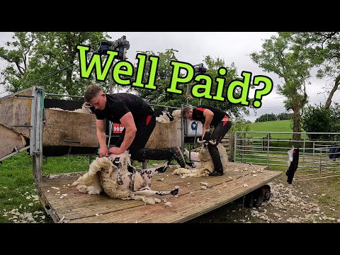 How much does a Sheep Shearer make?