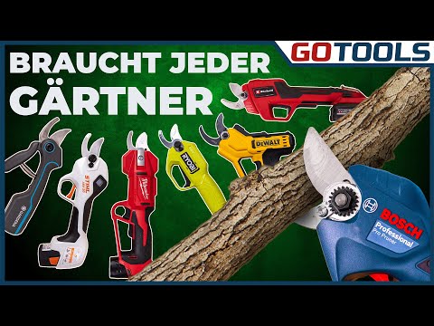 Loppers put to the test: inexpensive or premium? Who cuts through! With raffle