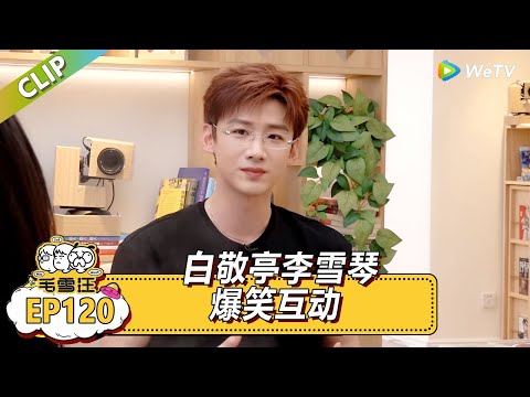 EP120期超长尊享版：白敬亭李雪琴爆笑互动！|《毛雪汪》#综艺 #毛雪汪 #李雪琴 #毛不易