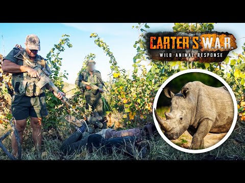I Tracked Vicious Rhino Poaching Gangs of Kruger National Park | Carters WAR