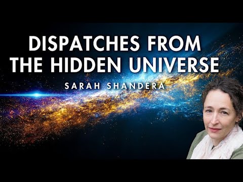 Dispatches from the Hidden Universe - Sarah Shandera