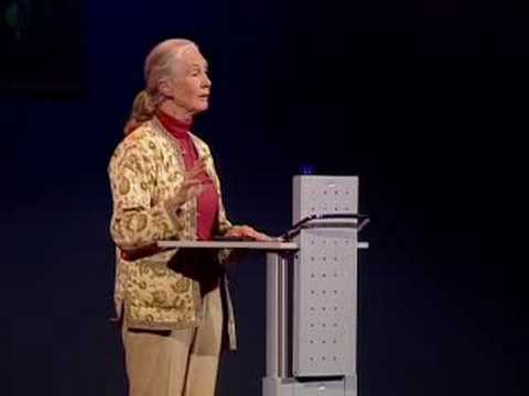 Helping humans and animals live together | Jane Goodall