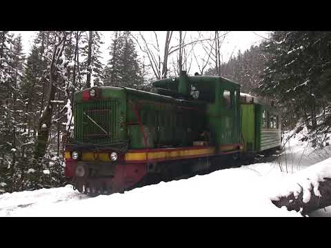 Narrow gauge railway in Vyhoda/ Вигодська вузькоколійка, тепловоз ТУ4