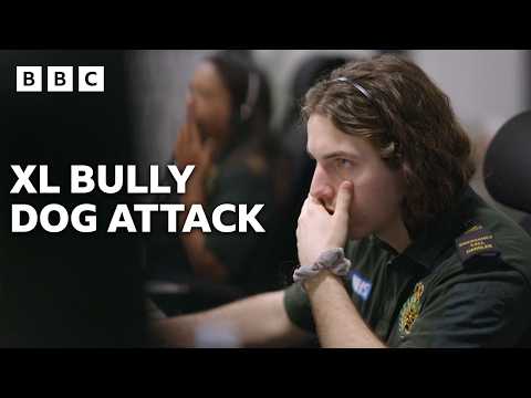 Paramedics respond to double XL Bully attack | Ambulance - BBC