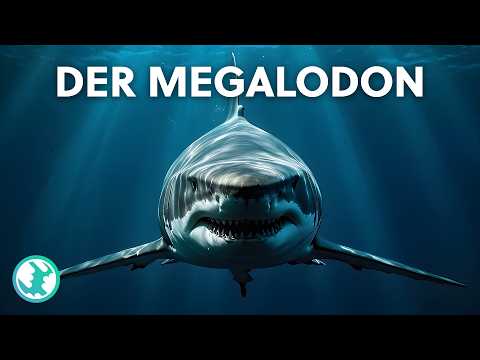 Urzeit-Giganten: Warum die größten Tiere der Welt ausstarben | Doku