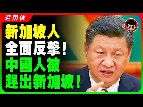 【新加坡人】忍耐崩潰！中國人玩過火了！新加坡人集體反擊：滾回你的中國！終於對中國人下手了！習近平 一国两制 財商思維 个人成长 统一 兩岸 习近平 反送中 中共 反共 台独 國安法