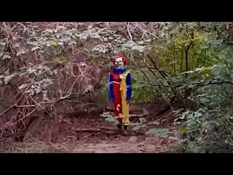 6 Most Disturbing Forest Encounters Caught on Camera