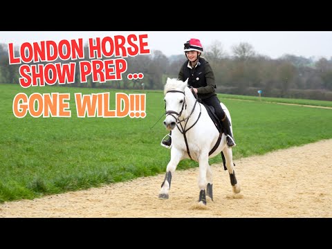 LONDON HORSE SHOW PREP... GONE WILD!