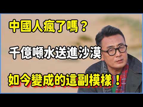 中國人瘋了嗎？把1000億噸水送進沙漠『餵』沙子，如今變成的這副模樣 #窦文涛 #脱口秀 #真人秀 #锵锵行天下 #锵锵三人行