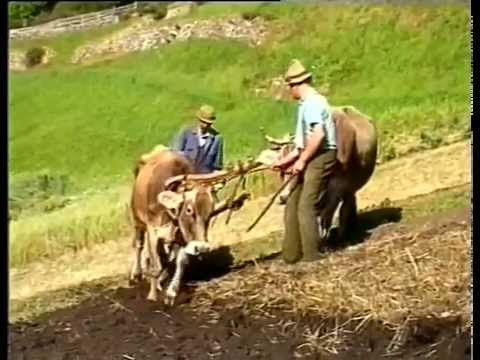 Brot backen nach alter Tradition, Ackerbau Szenen aus Malsau Langtaufers