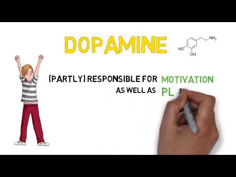 The Only NoFap Video You Need To Watch (NoFap Scientific Breakdown)