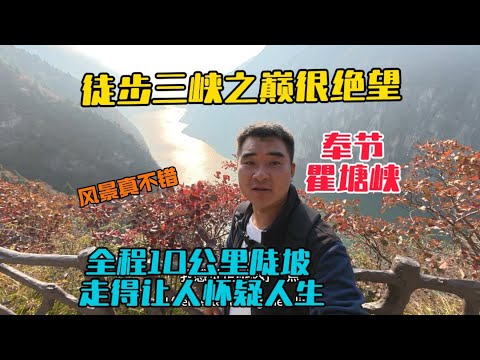 普通人徒步三峽之巔有多絕望，全程10公里陡坡，走得懷疑人生，沿途風景紅葉映三峽，美不勝收！