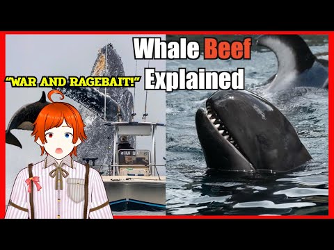 War never changes, even in the Sea... | Casual Geographic React