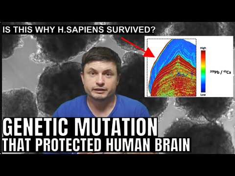 Ancient Lead Exposure Shaped Human Evolution and Brain Development