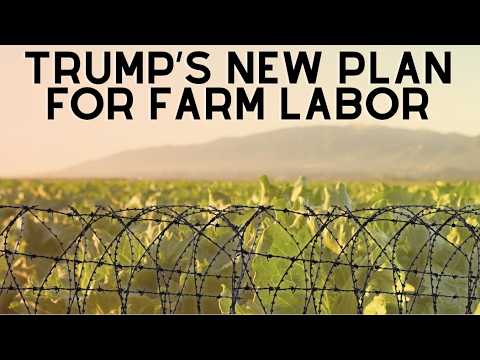 ICE Raids Are Only Half The Story