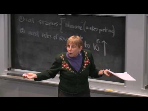 5. Enzymes and Catalysis