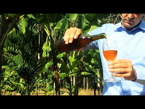 Banana Wine - How to make Wine at home from banana - Homemade Wine step by step - Easy recipe