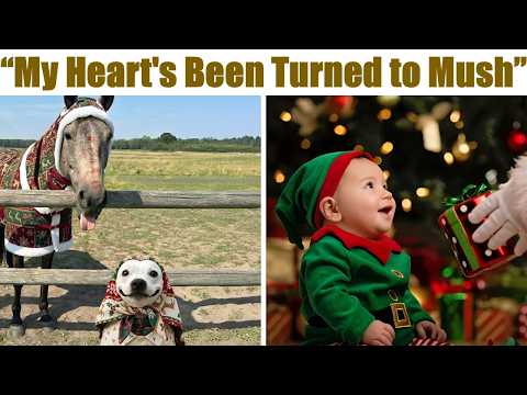 Wholesome Photos That Will Melt Your Heart And Distract From The Current Horrors Of The World