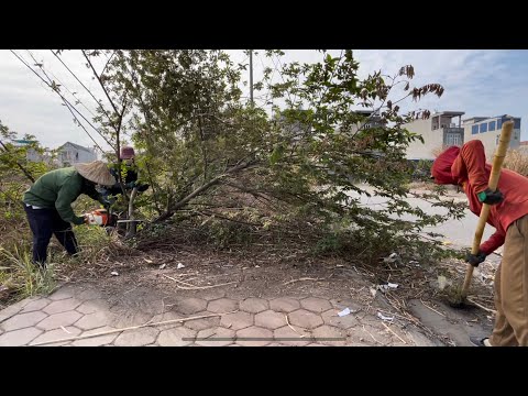 Magically Transforming Filthy Sidewalks with Simple Tools – An Incredible Cleanup.