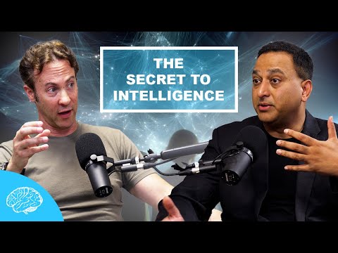 What’s the secret to intelligence (in brains and AI)? with Ramesh Raskar | Inner Cosmos Podcast