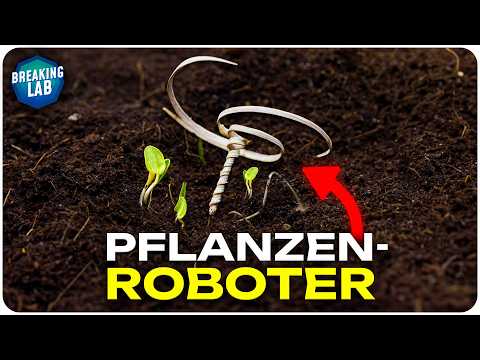 Dieses winzige Gerät könnte den gesamten Planeten aufforsten