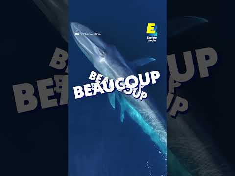 Ce son des abysses est d'origine inconnue 👀 #shorts