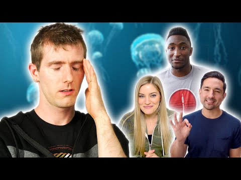 What did you DO?? - The "Jellyfish Fryer" All-SSD Server