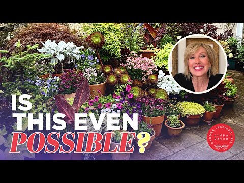 Is This Type Of Gardening Even Possible 🌿