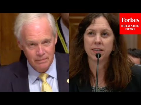 'Do You Understand That?': Ron Johnson Questions Key Biden Nominee