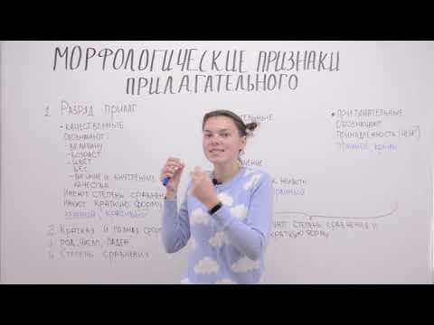 Morphological features of an adjective