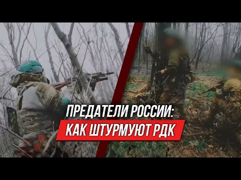 РДК — предатели, а не воины | Инструктор смотрит